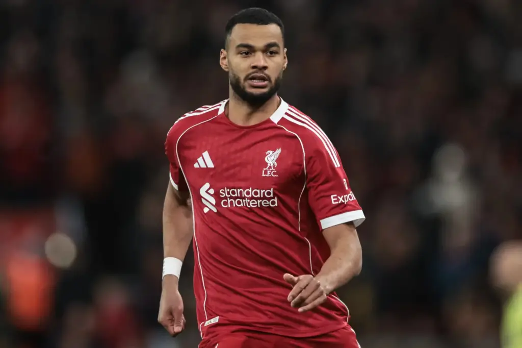 Cody Gakpo a Tottenham célkeresztjében: Miért akarja őt Roberto de Zerbi?