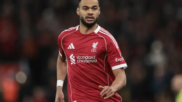Cody Gakpo a Tottenham célkeresztjében: Miért akarja őt Roberto de Zerbi?