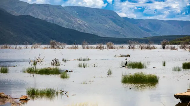 Drámai mértékben emelkedik a krokodiltámadások száma Kenyában