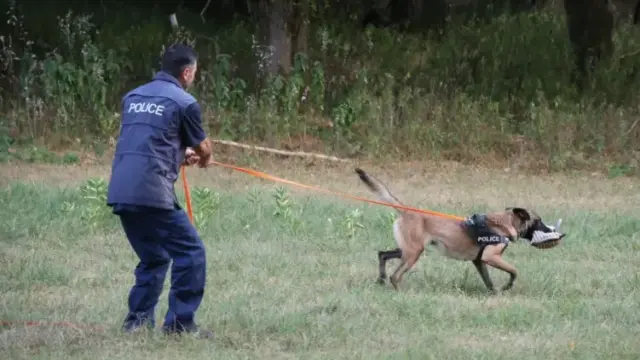 Összevont kutyás képzést tartottak Szekszárd közelében