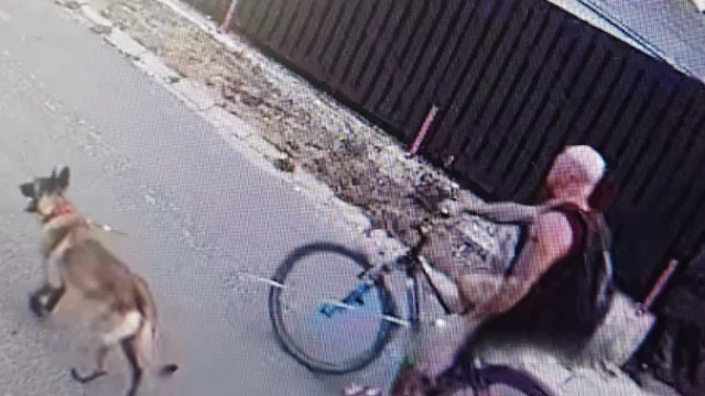 Keresik a rendőrök a férfit, aki súlyosan bántalmazott egy kutyasétáltatót Sopronban