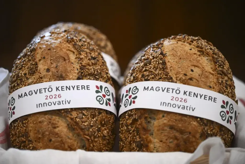 A Bíborfehér lett idén Magyarország tortája, a Pilisi Pityókás pedig a Szent István-napi kenyér