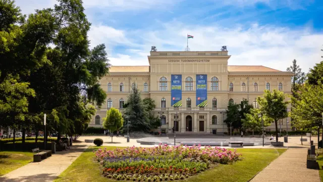 Endoszkópos gerincműtétet végeznek az SZTE Idegsebészeti Klinikáján