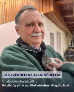 Átvilágítják a Közös ügyünk az állatvédelem Alapítvány működését