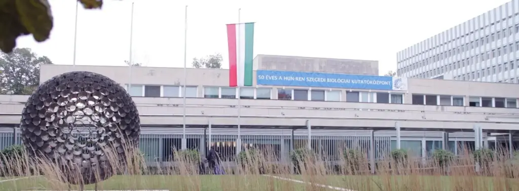 Mesterséges intelligenciával vizsgálták a személyre szabott melanoma-terápia lehetőségeit Szegeden