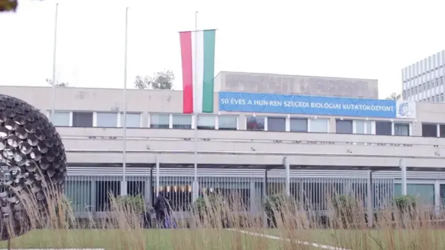 Mesterséges intelligenciával vizsgálták a személyre szabott melanoma-terápia lehetőségeit Szegeden