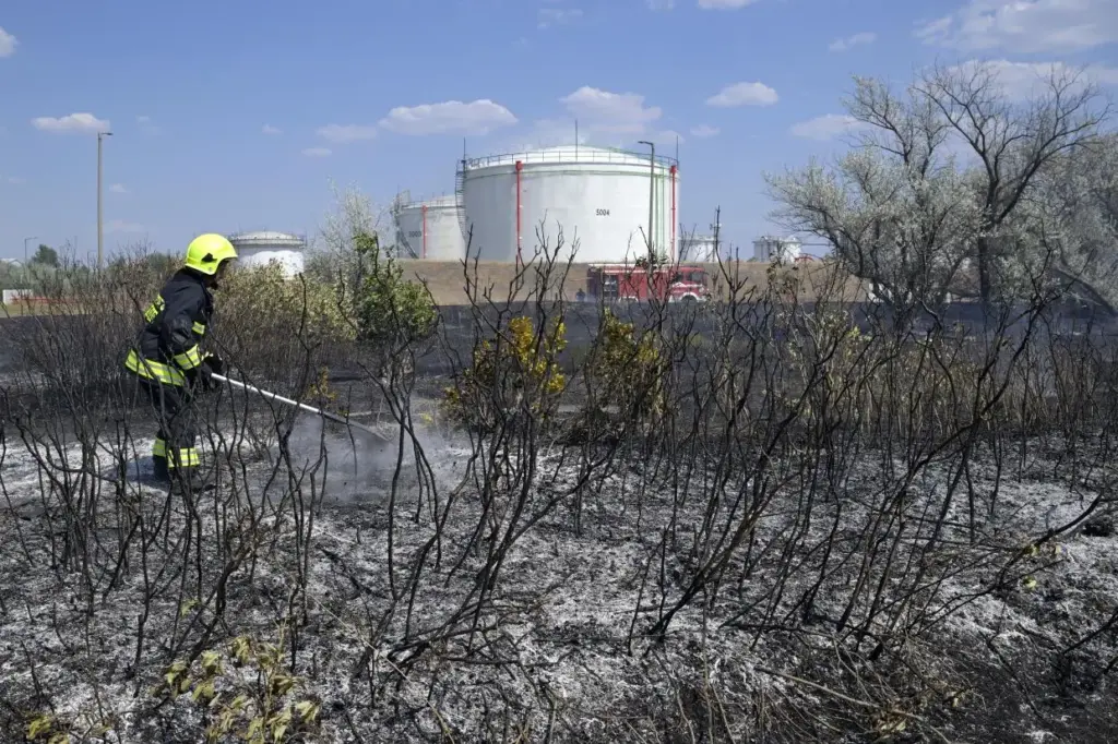Eloltották a Székesfehérvár határában keletkezett tüzet