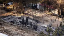Erdőtűz fenyegeti a lakóházakat a horvátországi Dugi Otok szigetén
