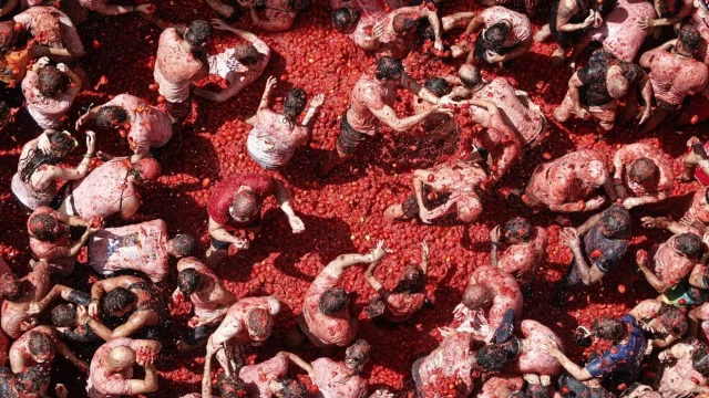 Hetvenkilencedik alkalommal rendezték meg a Tomatina paradicsomcsatát Bunolban