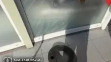 Bíróság elé állították az egri belvárost megrongáló férfit