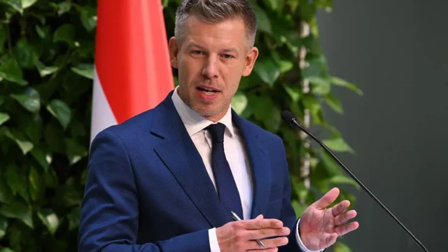 Magyar Péter szerint a Tisza által támogatott jelöltek nyertek az időközi választásokon