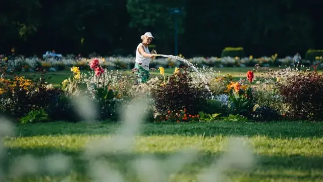 Megváltozott munkarendben öntözik a fővárosi zöldfelületeket a hőség miatt