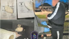 Kábítószer-kereskedelemmel gyanúsított testvérpárt fogtak el a rendőrök