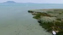 Szakemberek szerint a jelenlegi balatoni tóhasználat kockázatokat hordoz