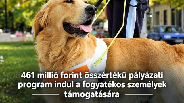 Több mint 460 millió forintos támogatás érkezik a fogyatékossággal élők segítésére