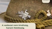 Lemondott az elnök, Bóna Szabolcs a vadgazdálkodás megújítását sürgeti