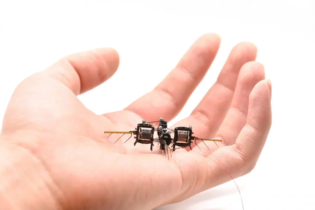 Lenyűgöző sebességre és agilitásra képes az MIT új, rovarszerű robotja