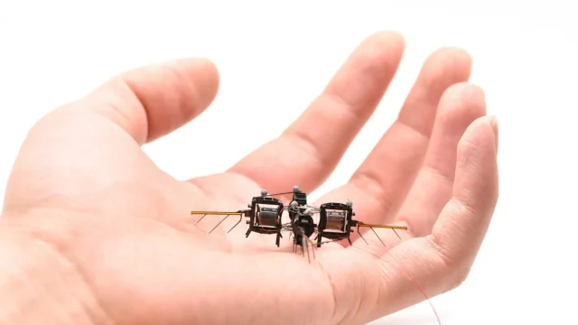 Lenyűgöző sebességre és agilitásra képes az MIT új, rovarszerű robotja