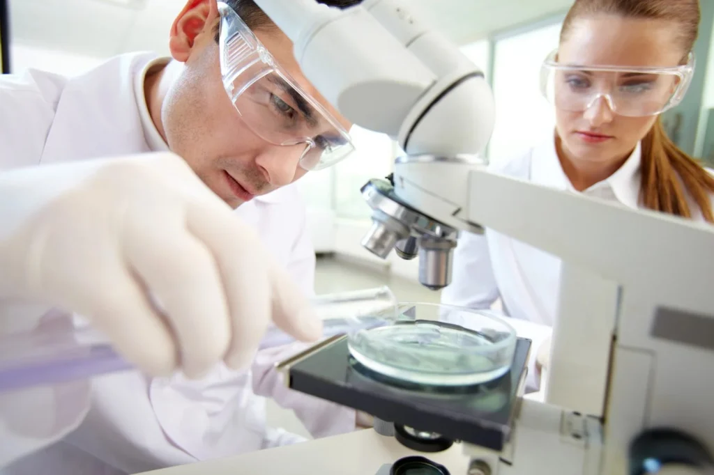 Kutatók éjszakája: mikrobák utáni nyomozás és laboratóriumi programok az egyetemeken