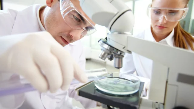 Kutatók éjszakája: mikrobák utáni nyomozás és laboratóriumi programok az egyetemeken