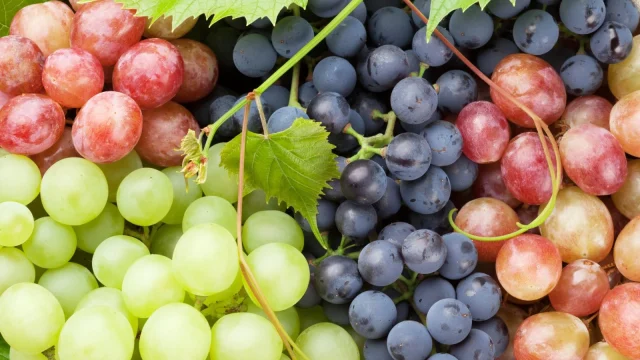 Növekvő kereslet a csemegeszőlő iránt Magyarországon