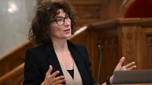 Gyurkó Szilvia szerint a gyermekvédelmi szakemberek folyamatos krízishelyzetben dolgoznak