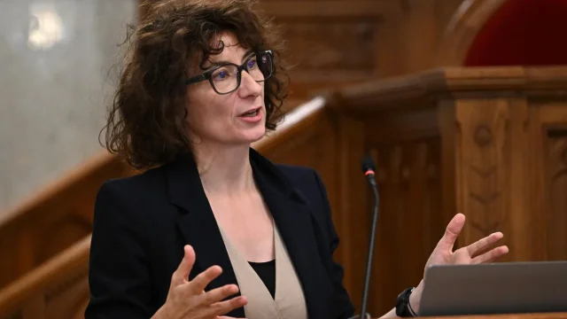 Gyurkó Szilvia szerint a gyermekvédelmi szakemberek folyamatos krízishelyzetben dolgoznak