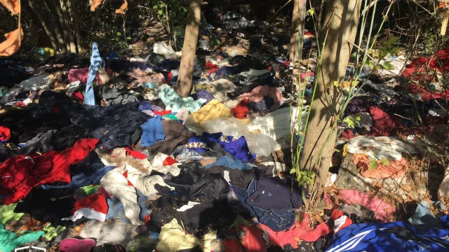 Illegális hulladéklerakó felszámolását kezdeményezte a főügyészség Cegléden