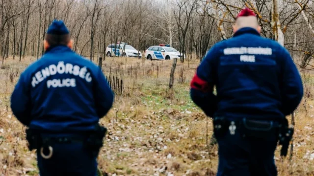 Kilenc határsértőt tartóztattak fel a magyar rendőrök a határ mentén