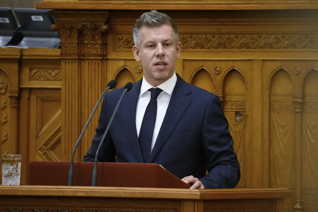 Magyar Péter: az elmúlt 16 évben a sajátjaink fordultak a magyar nép ellen