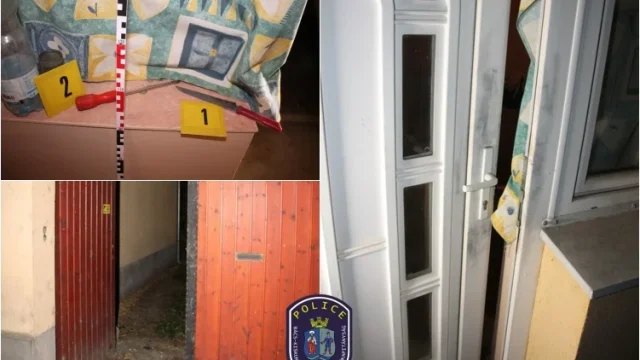 Bokorban próbált elbújni a betörő, miután riasztotta a rendőröket Kecskeméten