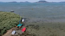 Kétségbeejtő helyzetben a Balaton: fogy a víz, szűkülnek a természetes partszakaszok