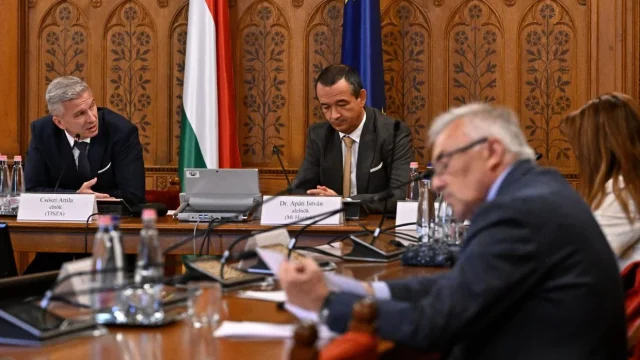 Szakértő nélkül maradt az MNB-vizsgálóbizottság, de meghallgatják a volt képviselőket