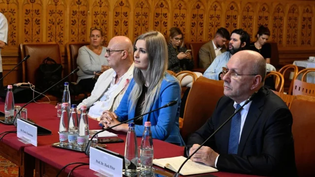 Szakértők szerint a profitorientált végrehajtási rendszer vezetett a visszaélésekhez