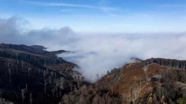 Új európai meteorológiai műhold segíti a pontosabb időjárás-előrejelzést Magyarországon