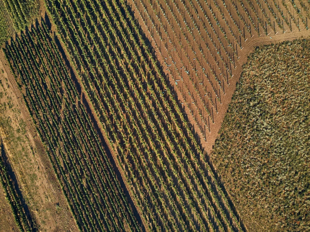 A Közös Agrárpolitika támogatásának fenntartását követelik az európai agrárszervezetek