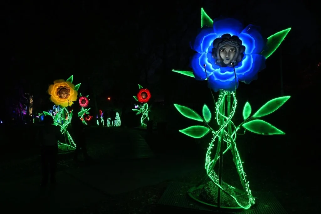 Alice Csodaországban tematikával nyílt meg az idei Lumina Park a Margitszigeten