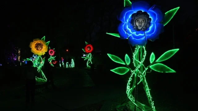 Alice Csodaországban tematikával nyílt meg az idei Lumina Park a Margitszigeten