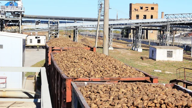 Megkezdte a cukorrépa vasúti szállítását a Rail Cargo Hungaria Kaposvárra