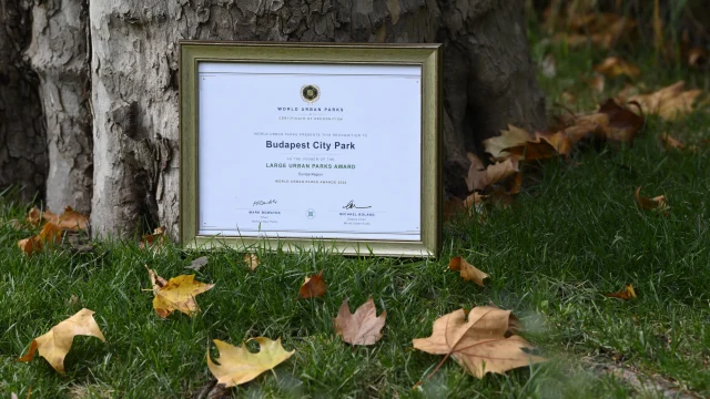 A Városliget nyerte el a World Urban Parks európai nagyvárosi parkoknak járó díját