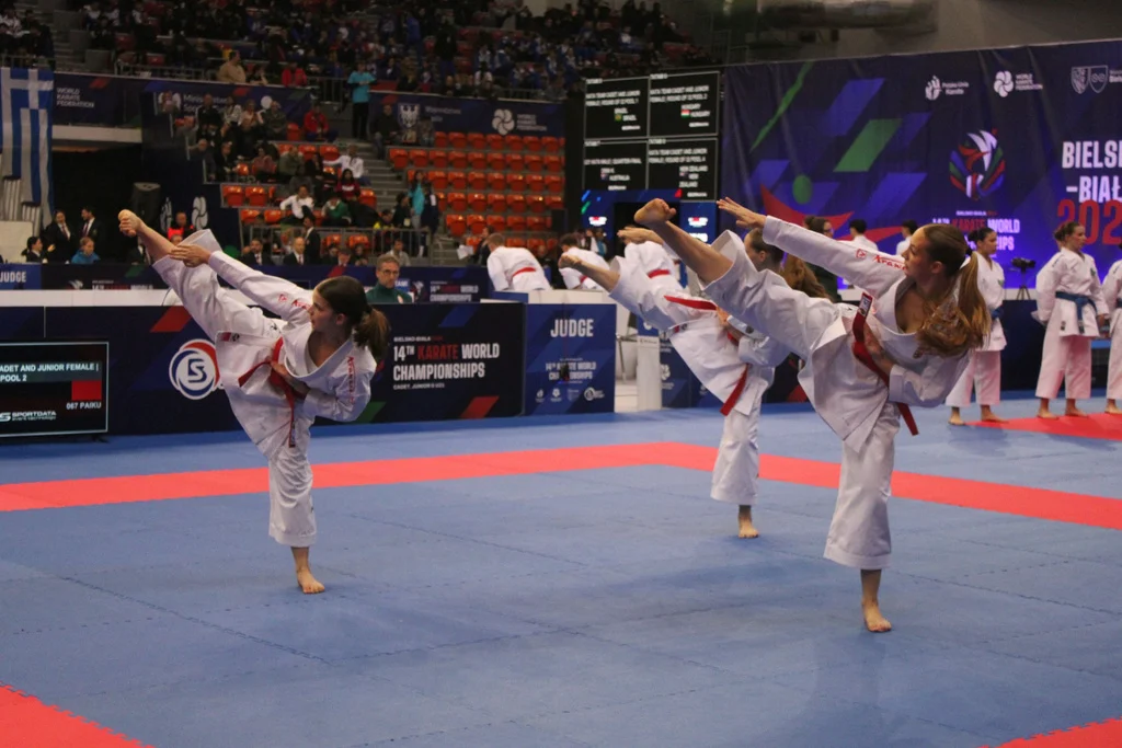 Ezüstérmet nyert a Bagi Ádám a rekordlétszámú karate vb-n