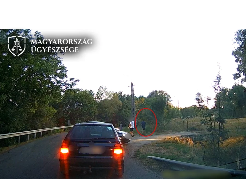 Két év börtönre ítélték a polgárőrre boxerrel támadó ikladi férfit