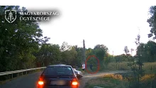 Két év börtönre ítélték a polgárőrre boxerrel támadó ikladi férfit