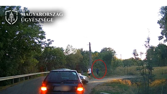 Két év börtönre ítélték a polgárőrre boxerrel támadó ikladi férfit