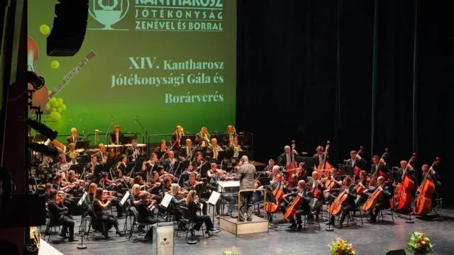 Kantharosz Gála: Győr összefogása a rászoruló gyermekekért