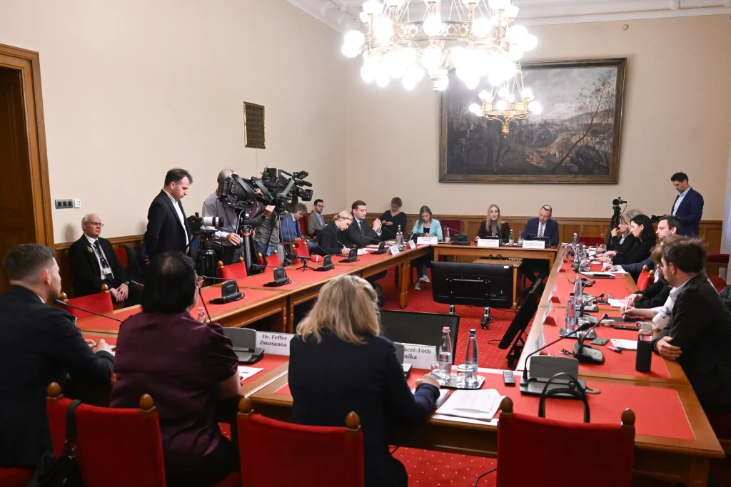 Létszám- és forráshiányról számoltak be a gyermekvédelmi szakemberek a bizottsági ülésen