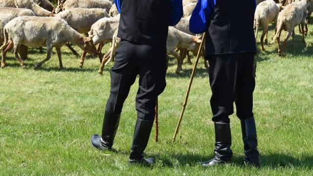 Pásztortalálkozóval egybekötött Márton-napi rendezvényt tartanak a Szennai Skanzenben
