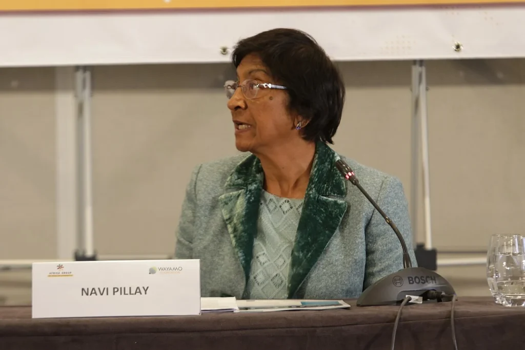 Navanethem Pillay kapja a 2026-os Nobel-békedíjat