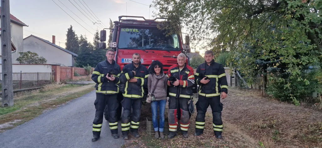 Bátéban a betonhíd alól mentették ki a beszorult kiskutyákat az önkéntes tűzoltók
