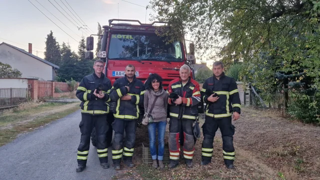 Bátéban a betonhíd alól mentették ki a beszorult kiskutyákat az önkéntes tűzoltók